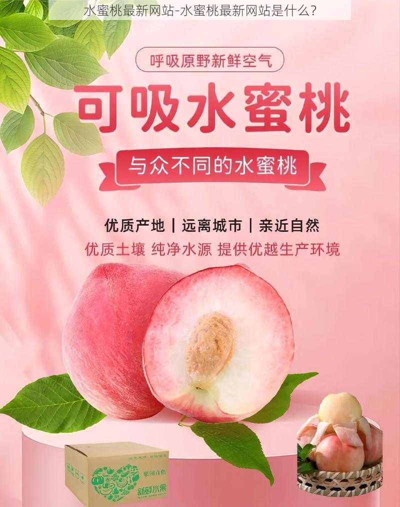 水蜜桃最新网站-水蜜桃最新网站是什么？