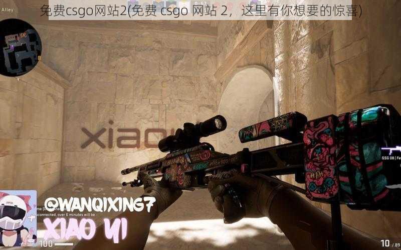 免费csgo网站2(免费 csgo 网站 2，这里有你想要的惊喜)