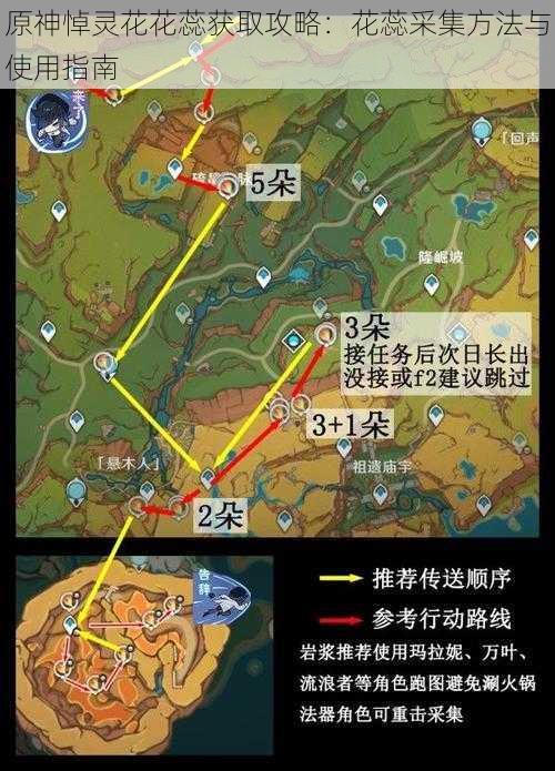 原神悼灵花花蕊获取攻略：花蕊采集方法与使用指南