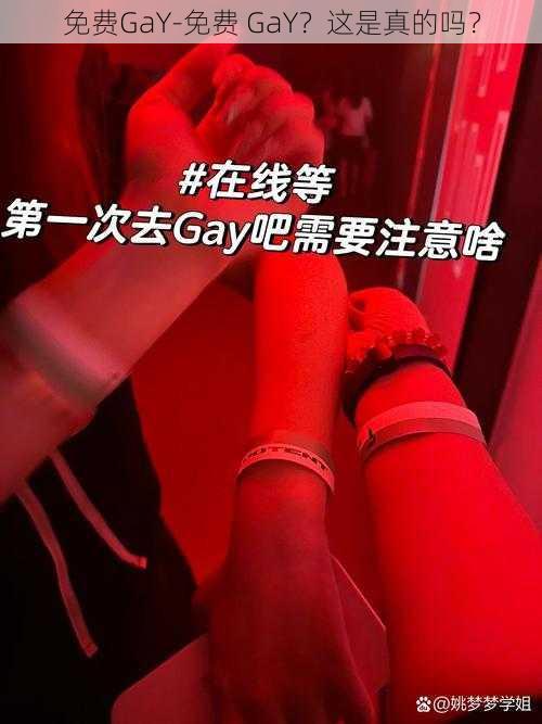 免费GaY-免费 GaY？这是真的吗？