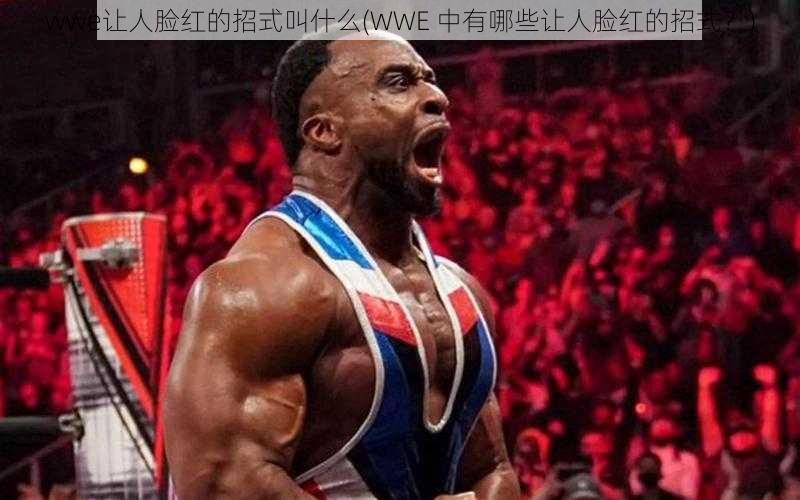 wwe让人脸红的招式叫什么(WWE 中有哪些让人脸红的招式？)