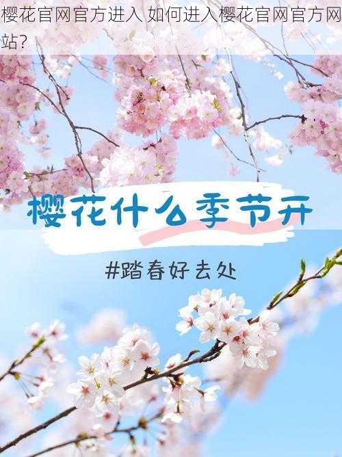 樱花官网官方进入 如何进入樱花官网官方网站？