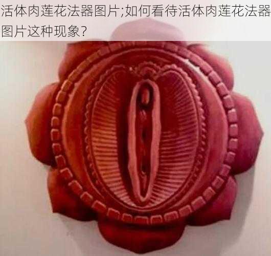 活体肉莲花法器图片;如何看待活体肉莲花法器图片这种现象？