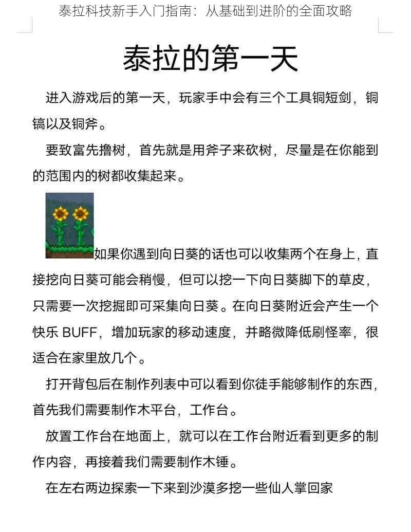 泰拉科技新手入门指南：从基础到进阶的全面攻略