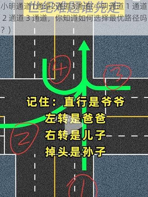 小明通道1通道2通道3通道(小明通道 1 通道 2 通道 3 通道，你知道如何选择最优路径吗？)