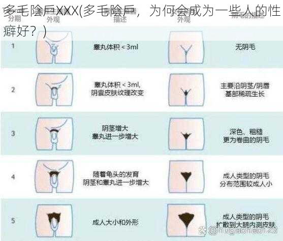 多毛陰戶XXX(多毛陰戶，为何会成为一些人的性癖好？)