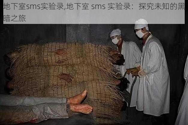 地下室sms实验录,地下室 sms 实验录：探究未知的黑暗之旅