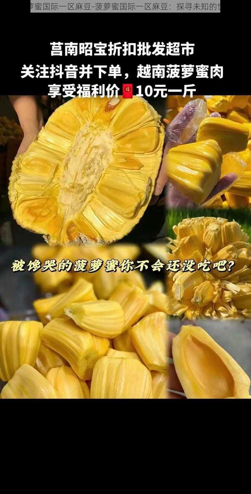 菠萝蜜国际一区麻豆-菠萝蜜国际一区麻豆：探寻未知的世界