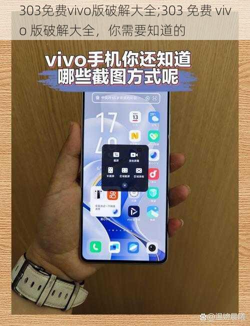 303免费vivo版破解大全;303 免费 vivo 版破解大全，你需要知道的