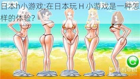 日本h小游戏;在日本玩 H 小游戏是一种怎样的体验？