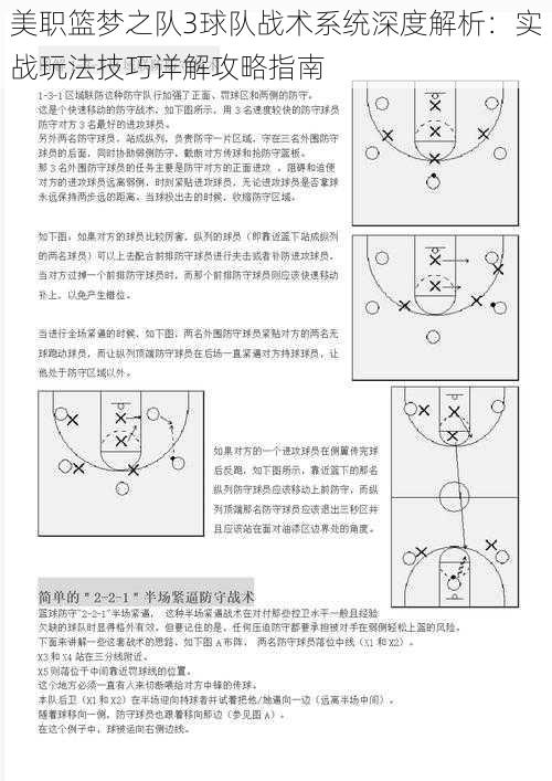 美职篮梦之队3球队战术系统深度解析：实战玩法技巧详解攻略指南