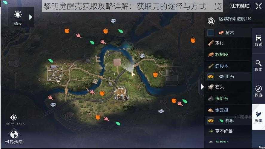 黎明觉醒壳获取攻略详解：获取壳的途径与方式一览