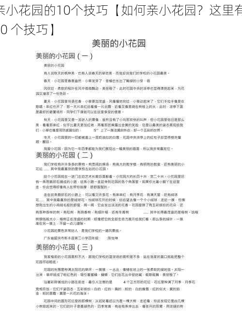 亲小花园的10个技巧【如何亲小花园？这里有 10 个技巧】