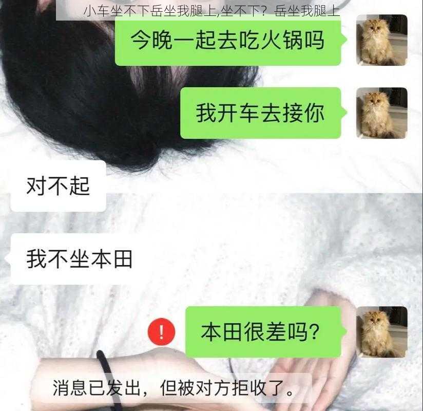 小车坐不下岳坐我腿上,坐不下？岳坐我腿上