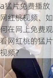 a猛片免费播放网红桃视频、如何在网上免费观看网红桃的猛片视频？