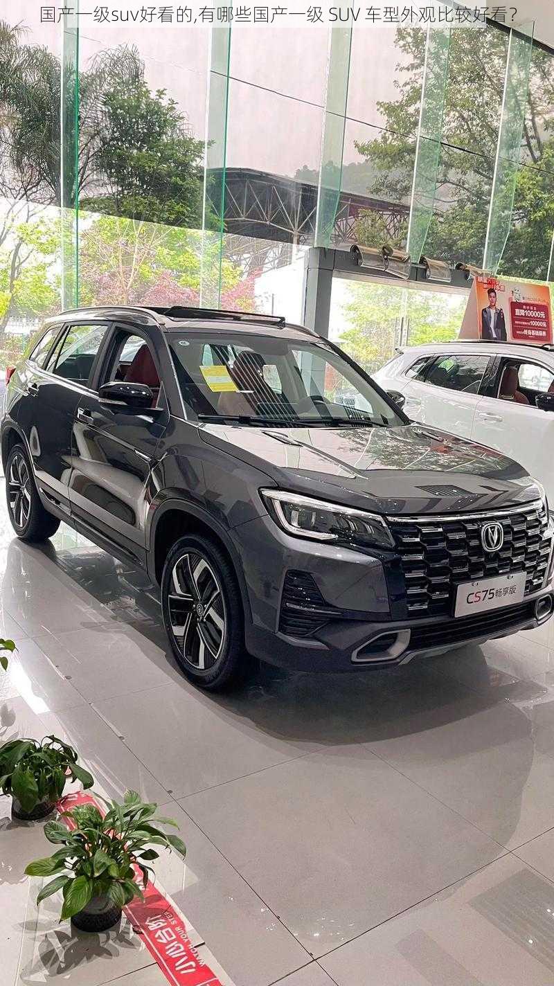 国产一级suv好看的,有哪些国产一级 SUV 车型外观比较好看？