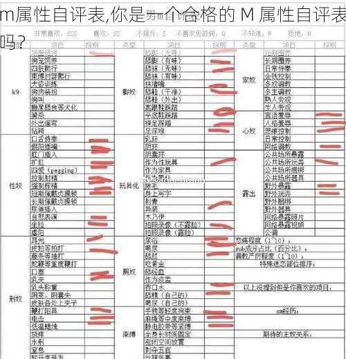 m属性自评表,你是一个合格的 M 属性自评表吗？