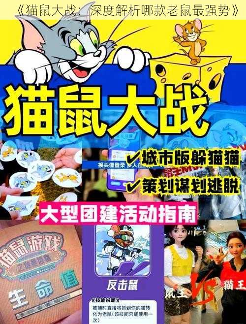 《猫鼠大战：深度解析哪款老鼠最强势》