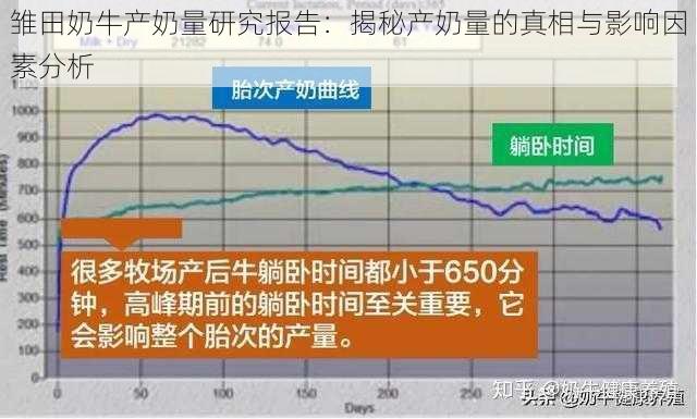 雏田奶牛产奶量研究报告：揭秘产奶量的真相与影响因素分析