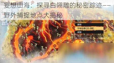 妄想山海：探寻白翎雕的秘密踪迹——野外捕捉地点大揭秘