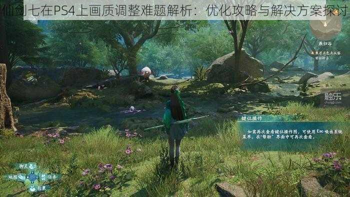 仙剑七在PS4上画质调整难题解析：优化攻略与解决方案探讨