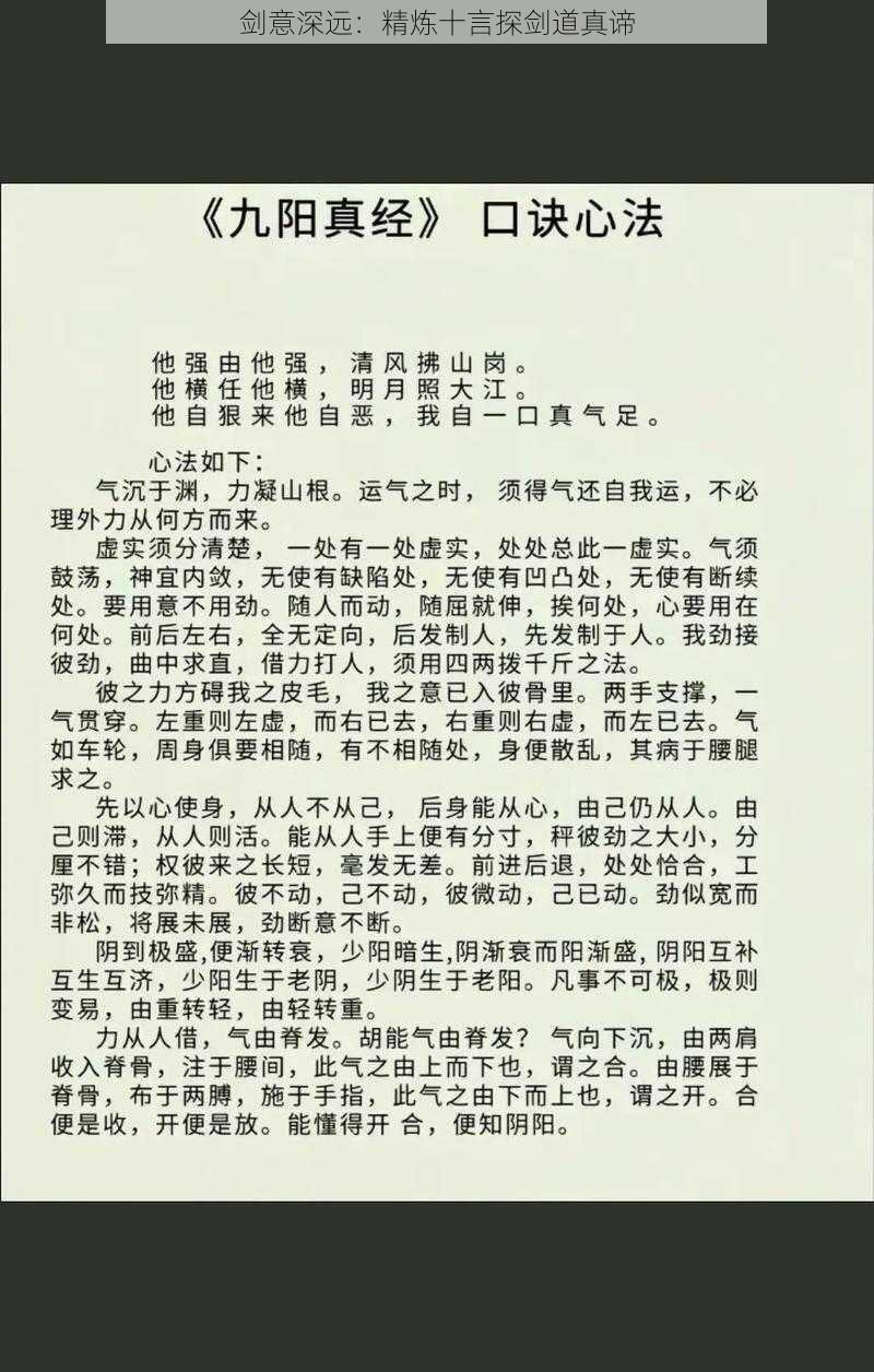 剑意深远：精炼十言探剑道真谛