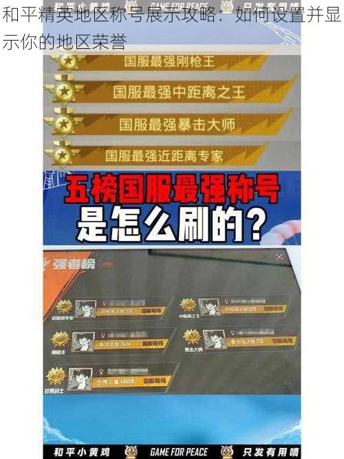 和平精英地区称号展示攻略：如何设置并显示你的地区荣誉