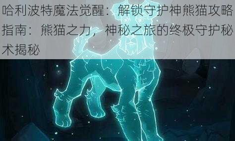 哈利波特魔法觉醒：解锁守护神熊猫攻略指南：熊猫之力，神秘之旅的终极守护秘术揭秘