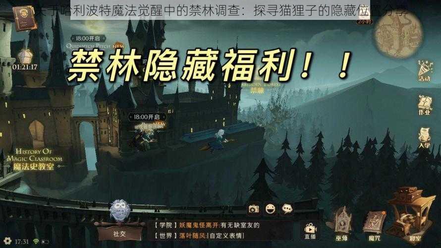 关于哈利波特魔法觉醒中的禁林调查：探寻猫狸子的隐藏位置分享