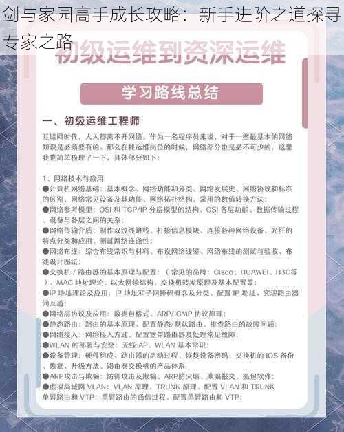 剑与家园高手成长攻略：新手进阶之道探寻专家之路