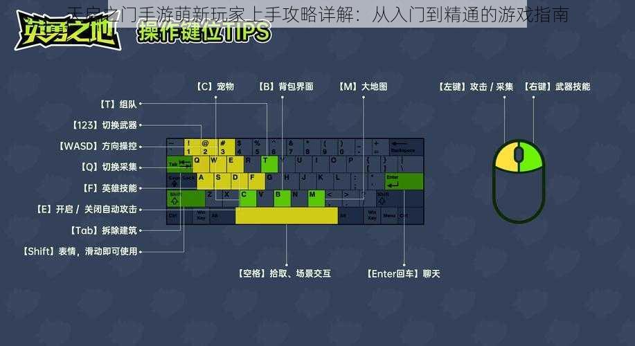 天启之门手游萌新玩家上手攻略详解：从入门到精通的游戏指南