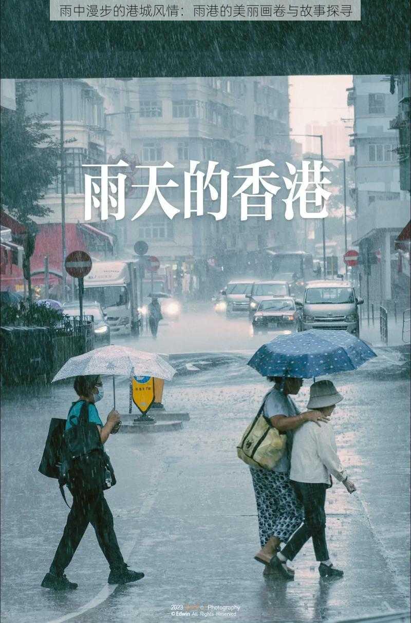 雨中漫步的港城风情：雨港的美丽画卷与故事探寻